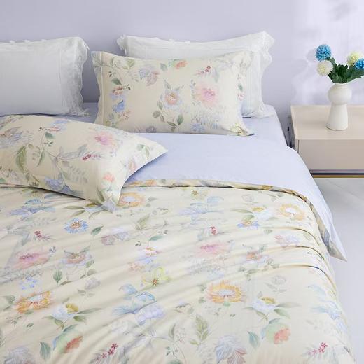 梦洁 纯棉三件套花蕾-3【150】 商品图2