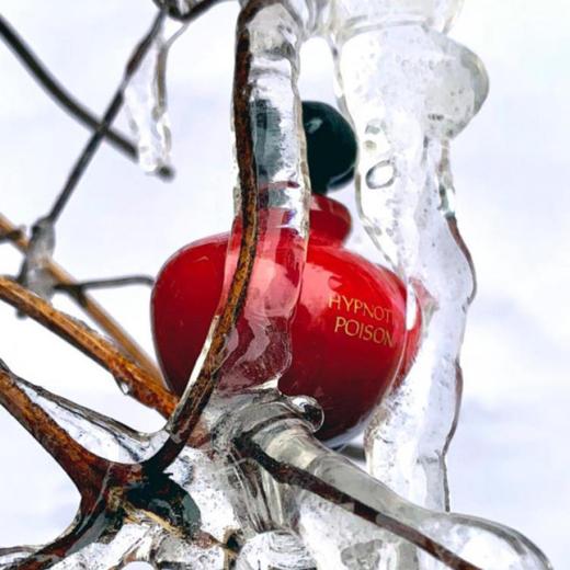 【Dior/迪奥精选香水五件套】花漾甜心香水5ml+芭伊颂香水5ml+#999哑光口红1.5g+#888哑光口红1.5g（赠原装白色化妆包＋礼盒） 一般贸易 商品图10