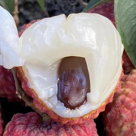 火山岩荔枝王 约500g/份（好吃不上火） 商品图2