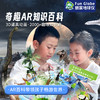 【朋宸地球仪】5英寸AR滚珠万向旋转地球仪·学生用·复古设计·AR黑科技·720度旋转探索 商品缩略图2