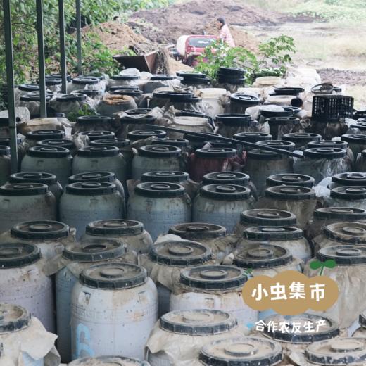 沃野青青露天有机菠菜 3斤 | 合作农友种植，来自陕西咸阳，生产者：郑力行 *【公平贸易农人定价】 商品图9