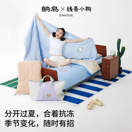 【新品上新】躺岛行囊大学生宿舍床品套装线条小狗床上六件套寝室床垫枕头被子 商品图3