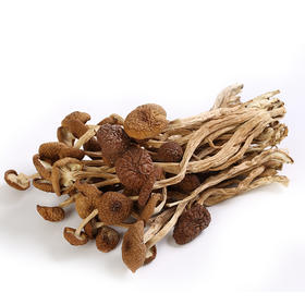 【野森林】茶树菇 150克