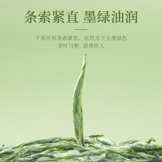 【臻尖-毛尖小雅】新茶明前嫩芽毛尖绿茶雅安蒙顶山茶叶100g*2罐 商品图1