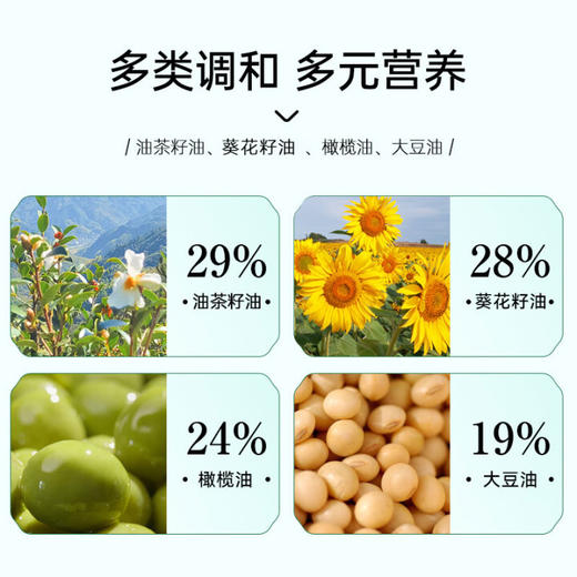 【1件包邮】纳福汇山茶橄榄油礼盒两种规格 口感香醇不油腻色泽金黄 新疆/西藏/海南/内蒙/云南/宁夏/甘肃/青海/港澳台不发货 商品图1