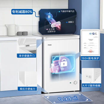 海尔（Haier）100L单温冰柜小型家用小冰柜冷藏冷冻两用转换深冷冷柜小冰箱减霜一级能效BC/BD-100GHDT /家用电器 /大 家 电 /冷柜 商品图1