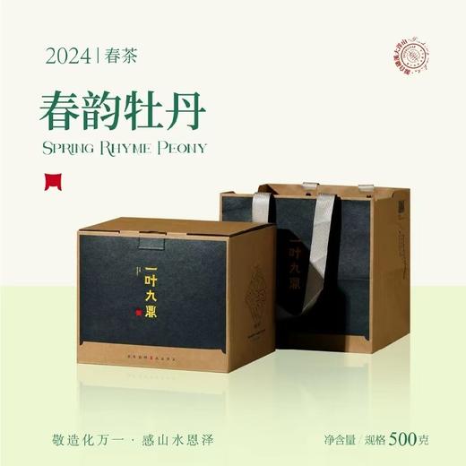 福鼎白茶丨2024年一叶九鼎  春韵牡丹二级白牡丹 500g 商品图0