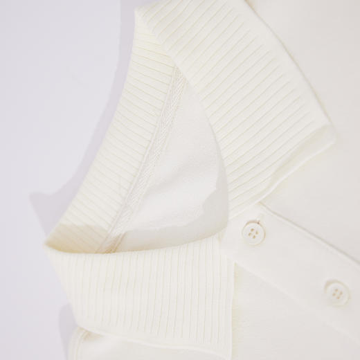 【新品上新】HX 夏季翻领短袖T恤微宽松Z102520084101 商品图2