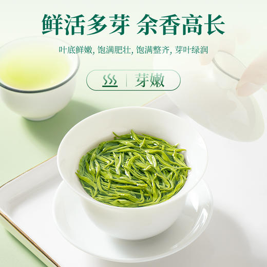 【臻尖-碧螺春雅成】明前碧螺春新茶特级绿茶100g*2罐 商品图2
