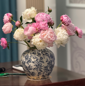 【第二十六期】芍药牡丹返图作品投票结果