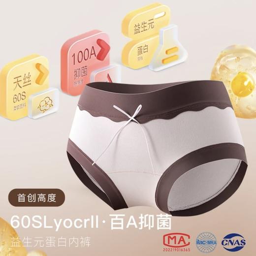 【巧克力盲盒8条礼盒装】纵享丝滑🍫穿上“巧克力”！益生菌天丝内裤，宠爱你的每一天💝100A益生菌莱赛尔天丝面料加长裆内裤女 商品图2