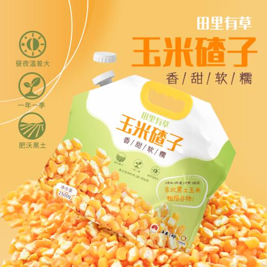 黑 /黄甜糯鲜食玉米，真空包装，黄玉米喳子，非转基因，出口品质，健康粗粮 商品图9