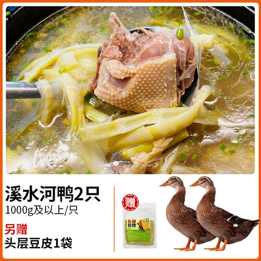 【杨博士皖南土鸭】溪水放养河鸭老鸭 深山散养 1000g及以上/只 商品图3