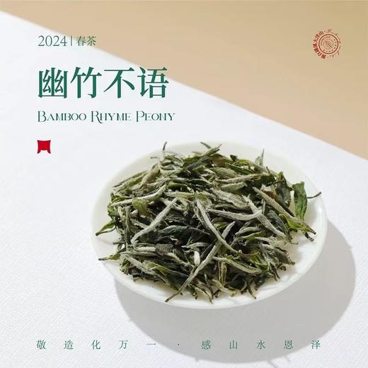 福鼎白茶丨2024年一叶九鼎竹韵牡丹·一级白牡丹 500g 商品图2