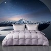 梦洁 95%美洲雁绒四季被：登峰520（星际紫 商品缩略图0