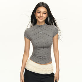 Ariseism 美式复古小圆领修身短袖t恤女2025夏季新款百搭显瘦上衣