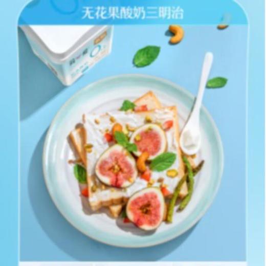 简爱轻食低脂0蔗糖酸奶400g/桶 商品图3