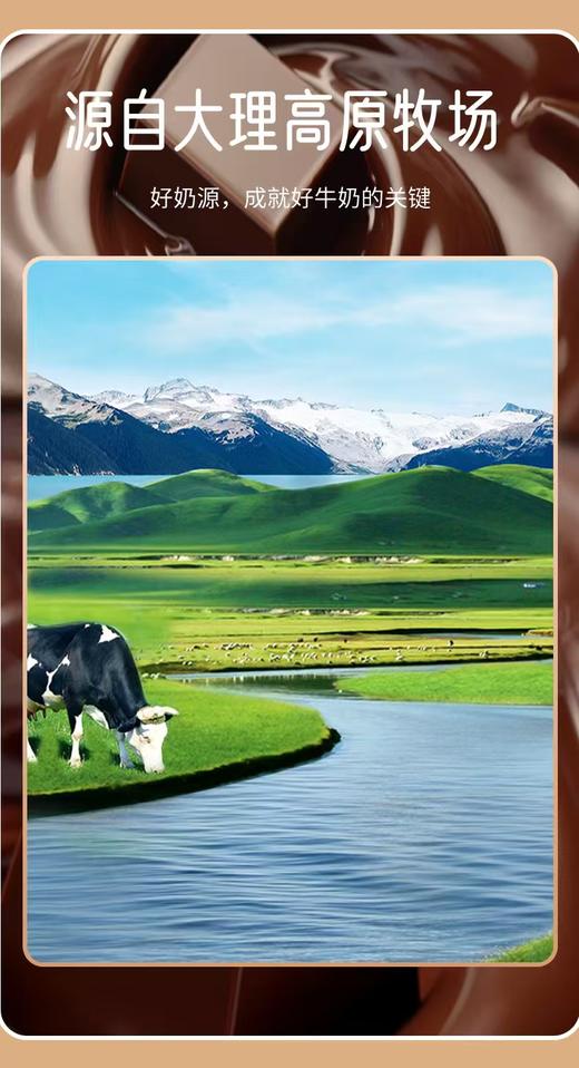 来思尔 小牛包黑巧可可牛乳袋装常温调制乳1件20袋*200g  厂家直发 商品图4