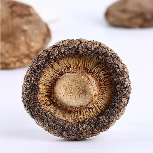 【野森林】香菇 100g 商品图3