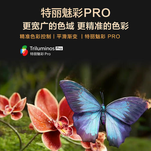 索尼SONY电视机50英寸显示器屏会议4K超高清FW-50BZ30L  IPS设计师面板 商品图3