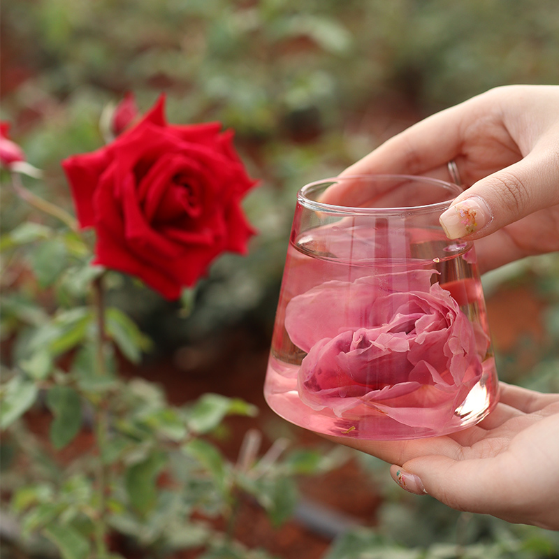 【头茬上新下单2份（4罐） 多送30g(大半罐的量)】【2罐68元 头茬品质 花骨朵更大】预售3天发 云南冻干墨红玫瑰花  满杯花青素   喝完嘴里香香的～