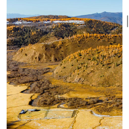 云南｜探秘天宝雪山5日穿越阿布吉措原始森林，高山徒步轻装入门路线穿越香格里拉腹地 商品图3