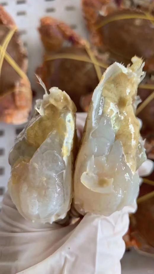 &本港扁蟹拥剑梭子蟹🦀壳薄肉多，纯吃肉的哦！新鲜]活冻 商品图5