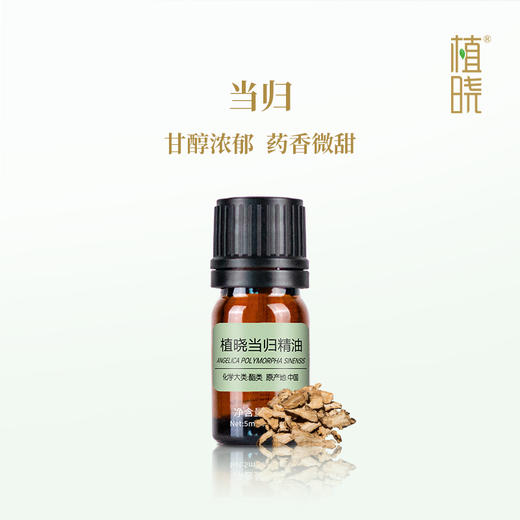 植晓 当归精油 5ml 商品图0