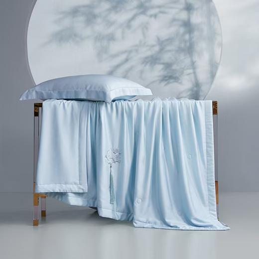 梦洁 天丝棉水洗有机纯蚕丝夏被：中国 蒸蒸日上（柔蓝) 商品图2