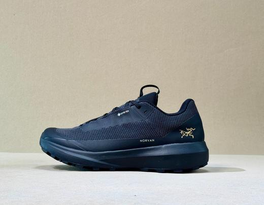 中性款GTX 低帮徒步鞋003 商品图1