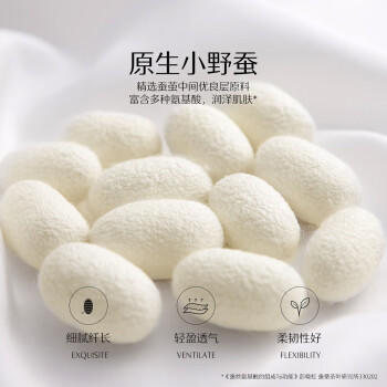 水星家纺蚕丝被100%蚕丝冬被子冬季子母被二合一被芯约7.9斤200×230cm /床上用品 /被子 /蚕丝被 商品图0