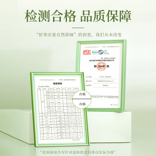 【臻尖-毛尖小雅】新茶明前嫩芽毛尖绿茶雅安蒙顶山茶叶100g*2罐 商品图4