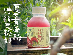 【顺丰包邮】配料干净薄荷冰杨梅汁基地直邮
