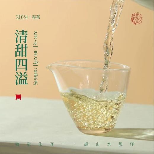 福鼎白茶丨2024年一叶九鼎  春韵牡丹二级白牡丹 500g 商品图2