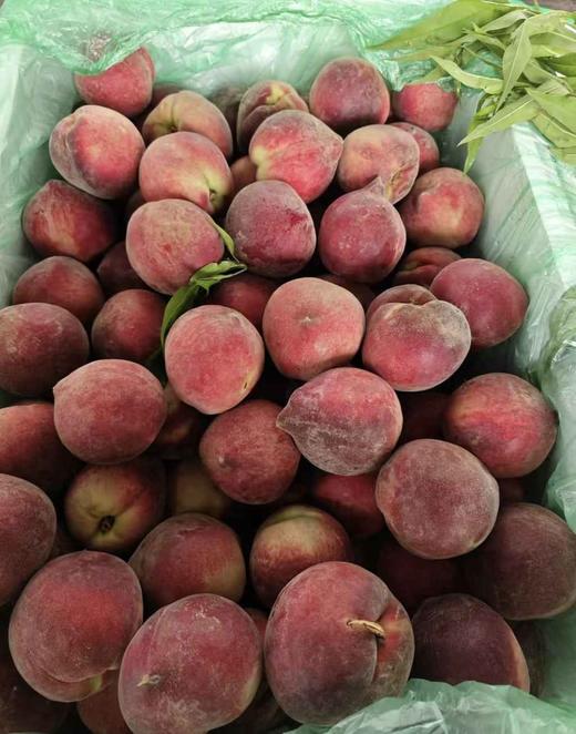 红毛桃（盒） 商品图1