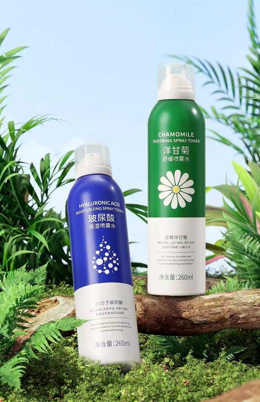 妆字号   采词小分子玻尿酸保湿喷雾水260ml效期20270417 商品图1