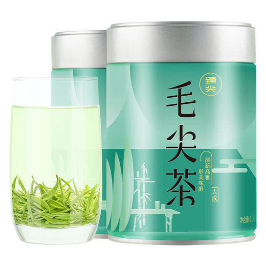 【臻尖-毛尖大成】新茶明前嫩芽毛尖绿茶蒙顶山新茶100g*2罐 商品图5
