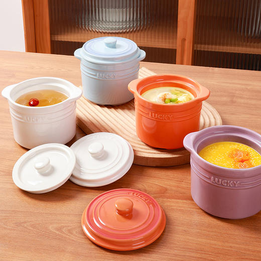 【LUCKY双盖炖盅】缤纷双盖陶瓷瓦罐汤炖盅隔水炖家用带盖一人份燕窝辅食小炖盅 商品图0