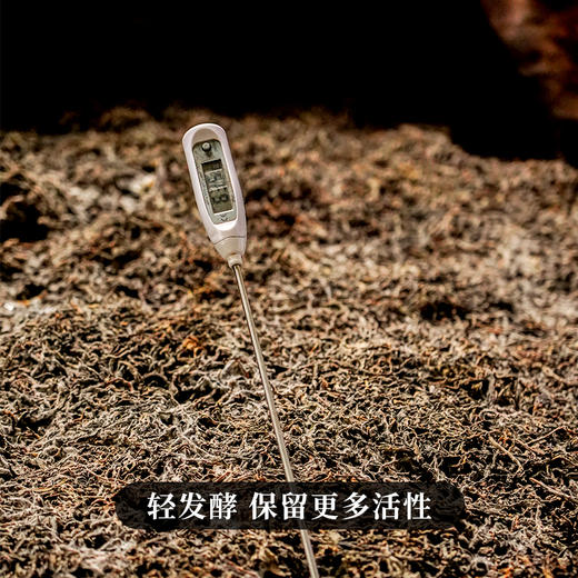 【十年陈熟茶龙珠】宫廷级用料2015年头春古树料山间活泉水发酵200克/罐，拍5发6拍20发25 商品图1