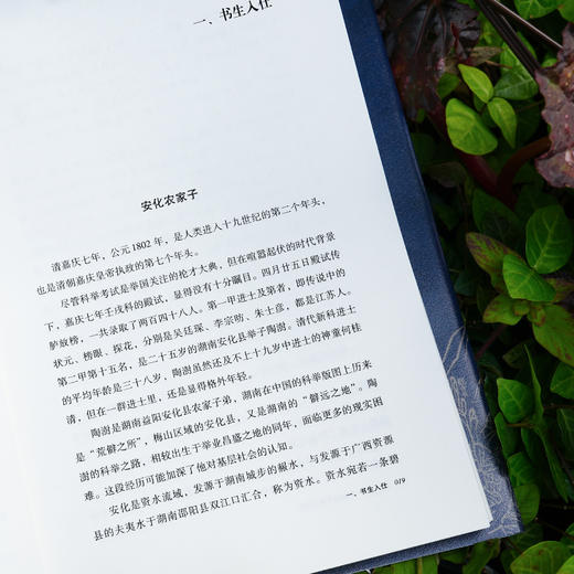 印心石在：陶澍的实学与实行 商品图8