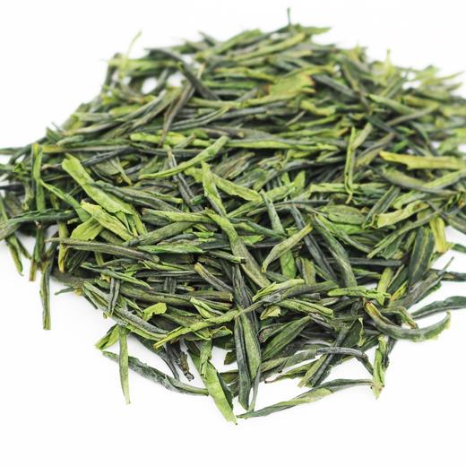 2025年新茶上市   五百里 六安瓜片 100克/罐 商品图1