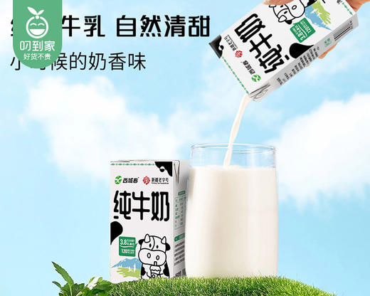 西域春新疆纯牛奶/1箱（125ml*20盒）生产日期：3月24日左右 商品图1