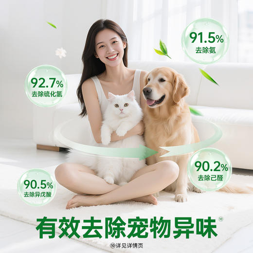 Dettol/滴露消毒液（宠物家庭专用）1L/瓶-茶与清柑清新不刺鼻 商品图1