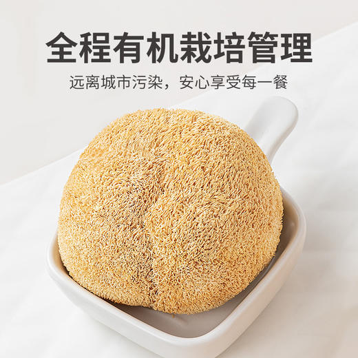 方家铺子 有机猴头菇150g/袋装 商品图9
