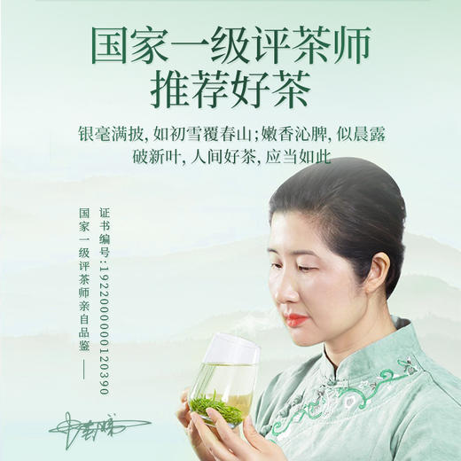 【臻尖-毛尖至醇】新茶 毛尖绿茶明前独芽80g*2罐 商品图4