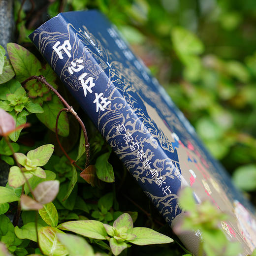 印心石在：陶澍的实学与实行 商品图4