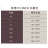 【大师高定】金典条纹莱赛尔棉POLO衫255X0P929S[门店专款] 商品缩略图1
