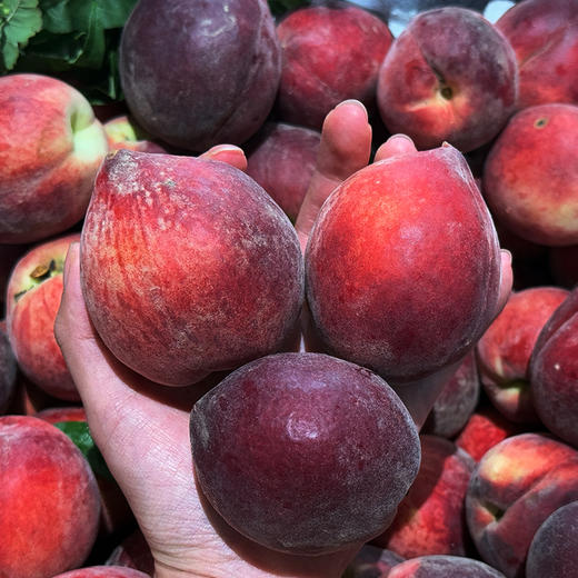 新鲜水果 脆甜多汁 柳陂美佳脆桃 3斤装 商品图0