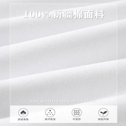 天彩·短袖T恤  纯棉透气面料 亲肤不闷汗 基础款百搭上衣 商品图2