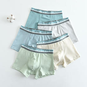 5条装！ 儿童内裤男童棉内裤大童男孩儿童宝宝平角裤学生2-15岁
